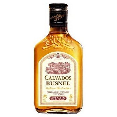 BUSNEL Calvados 40° 20cl